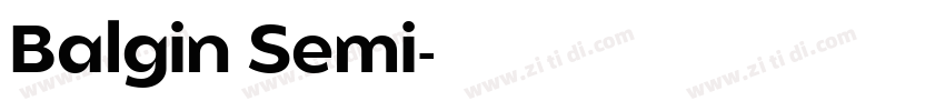 Balgin Semi字体转换